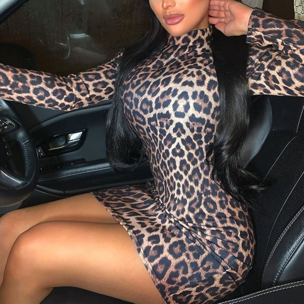 Brown Leopard Print Animal Print High Neck Long Sleeve Bodycon Mini Dress - Picture 8 of 9